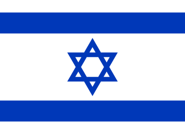 Israel Courtesy Flag 30 x 45cm