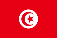 Tunisia Courtesy Flag 30 x 45cm