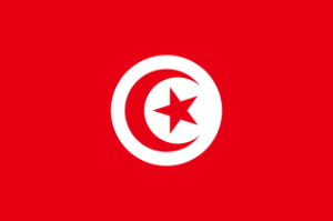 Tunisia Courtesy Flag 30 x 45cm