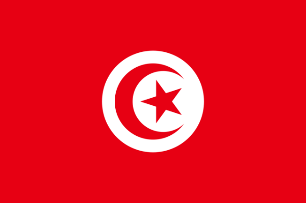 Tunisia Courtesy Flag 30 x 45cm